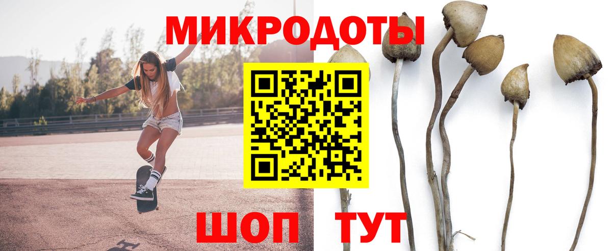 дарнет шоп  Вход с VPN  Дятьково  Галлюциногенные грибы Psilocybe 